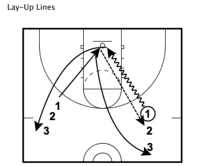 Lay-up Line